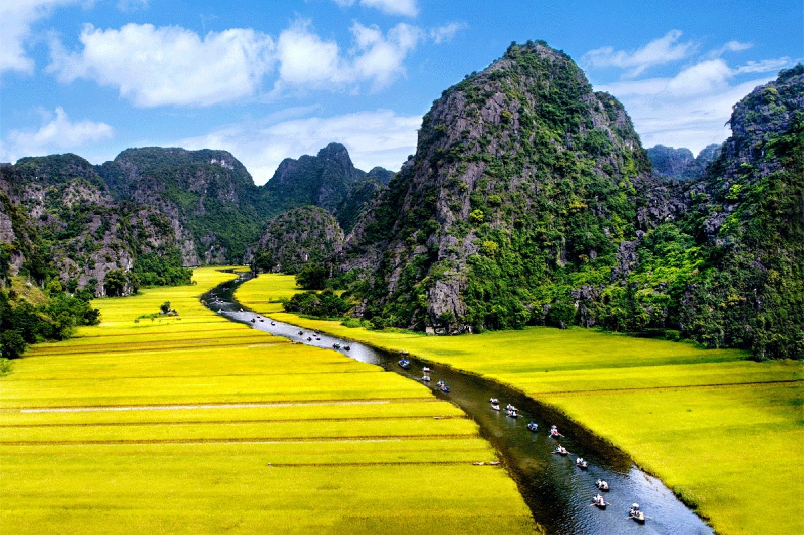 Ninh Binh Bucket List & Ultimate Experiences: A Day in the Life: From Morning Dawn to Midnight — Ninh Binh Jeep Tours by Eco Trip Asia